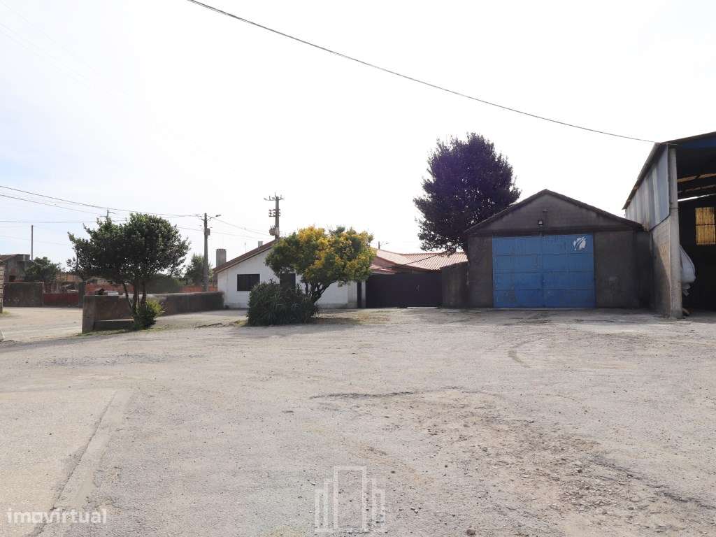 Terreno Rústico - Avanca - Grande imagem: 2/8