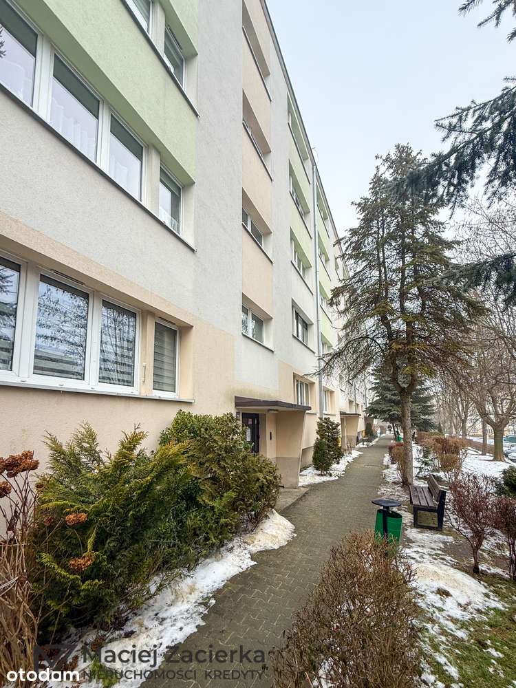 2 pokoje | 36 m² | 3 piętro | ul. Śląska | niski blok-11