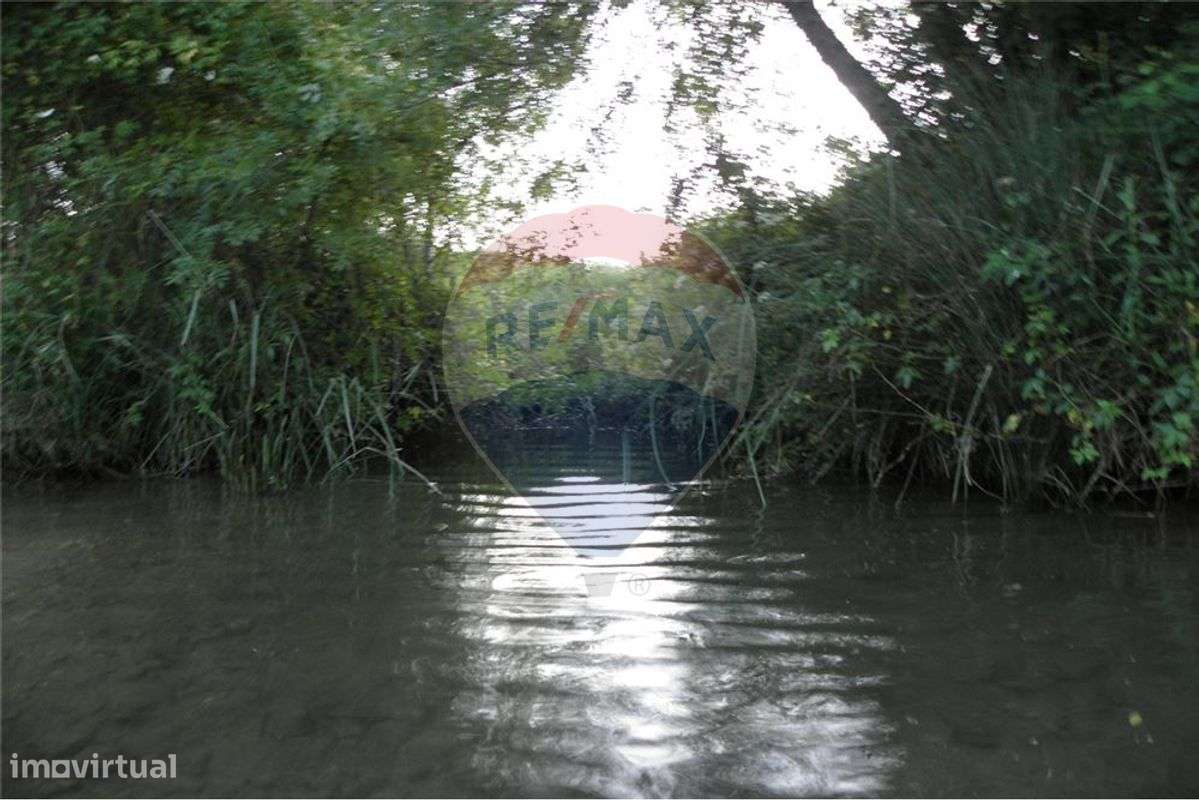 TERRENO PLANO COM A ÁREA DE 21.120 M2 - Grande imagem: 5/22