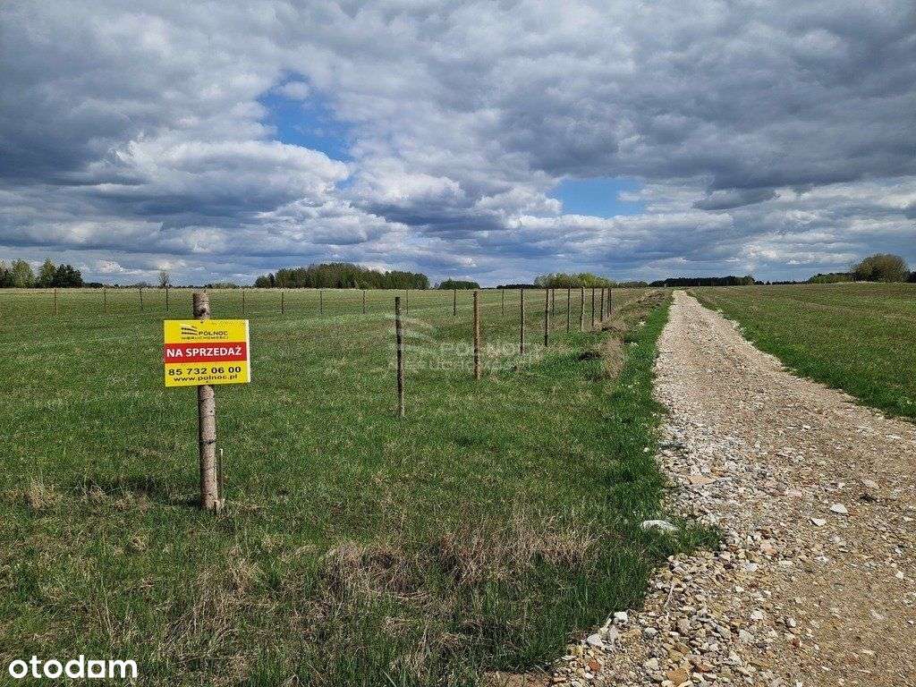 Henrykowo – Raj wśród zieleni, spokój i natura-0