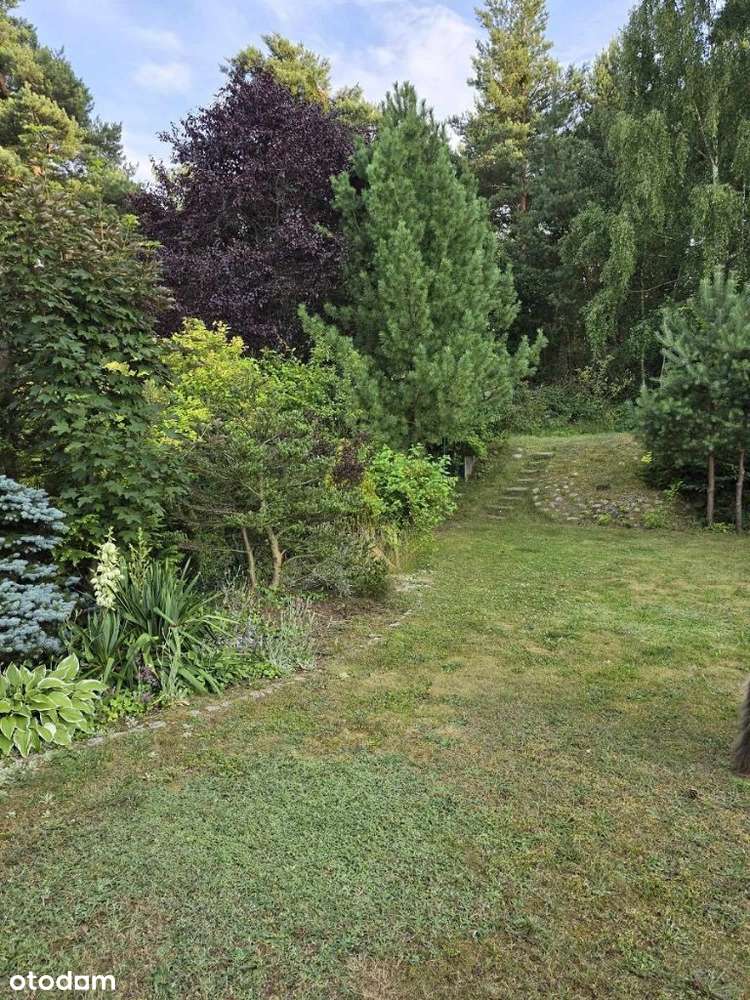 Dom z własnym lasem w Kochlicach-19