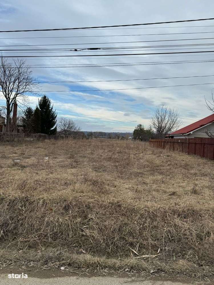 Vand teren intravilan Aleea Coleneilor Comuna Hemeiusi - Imagine principală: 4/13