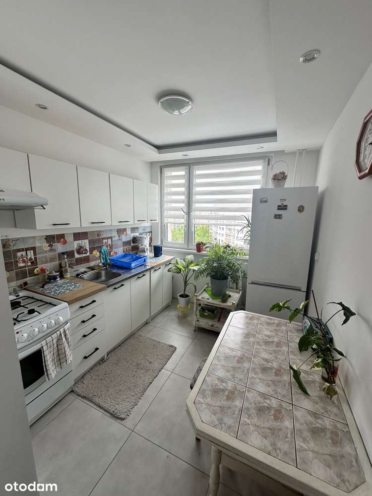 Pilczyce ul Dokerska, 3 pokoje, osobna kuchnia, media miejskie-15