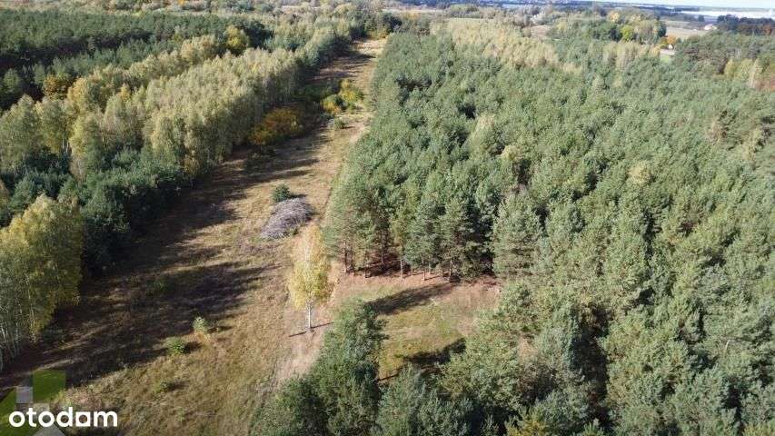 Działka3332m2z Wz,prąd,woda,las blisko Mszczonowa-5