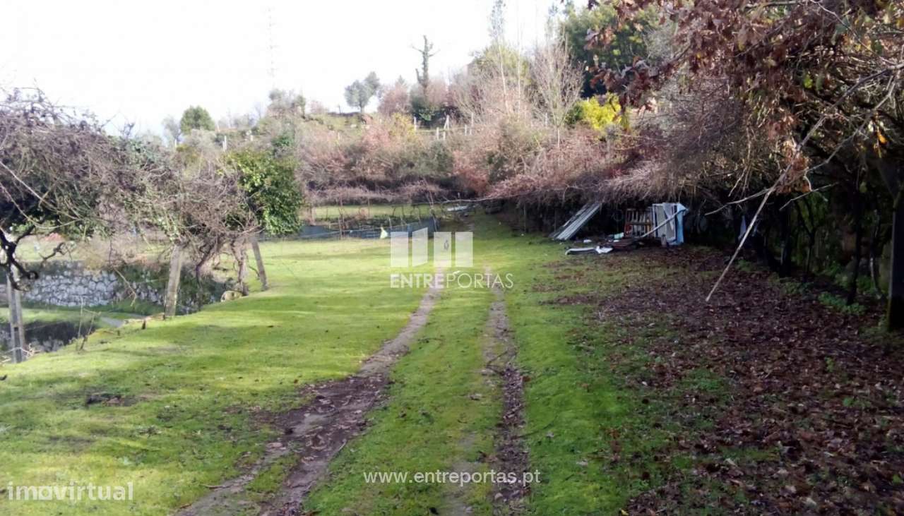 Venda Quinta, São Cristóvão de Nogueira, Cinfães - Grande imagem: 5/15