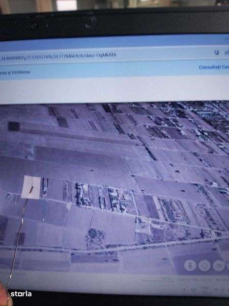 Propietar vind 6000 mp cu deschidere 42 m , in com 1 Decembrie Ilfov - Imagine principală: 3/8