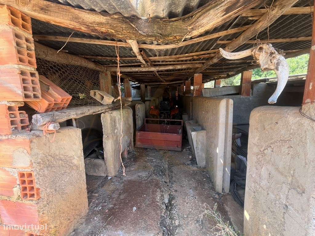 Quinta com duas casas, vistas para o mar e 11.940 m² de terreno em ...-20
