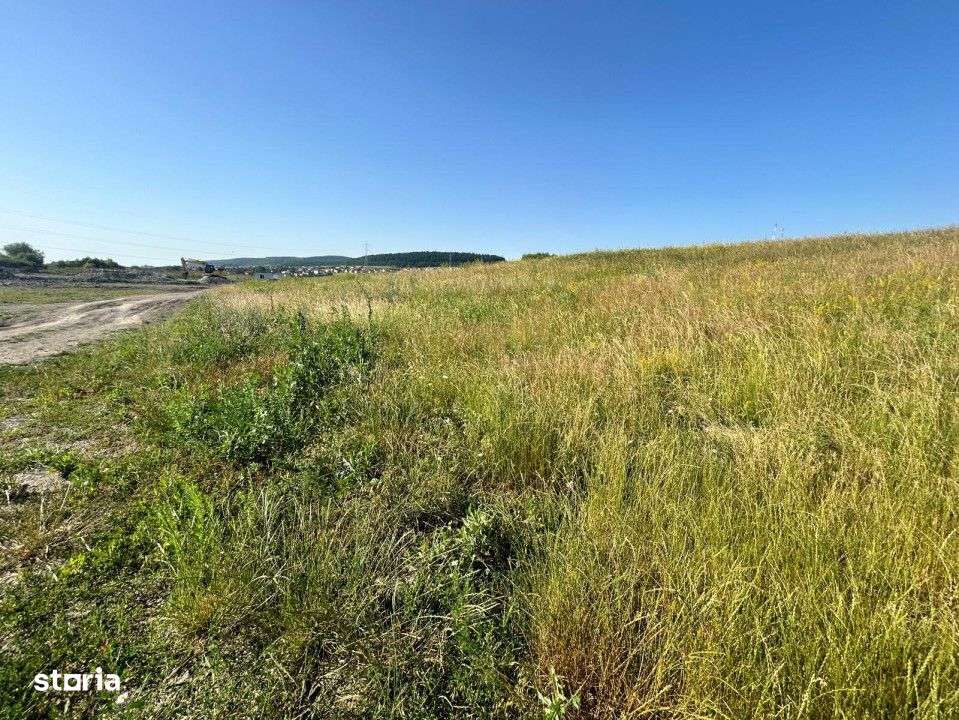 Teren intravilan 2.900mp front la strada 18m zona Chinteni lac - Imagine principală: 2/4