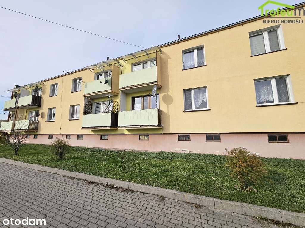 Mieszkanie 2 pokoje ! W cenie garaż i działka !!-12