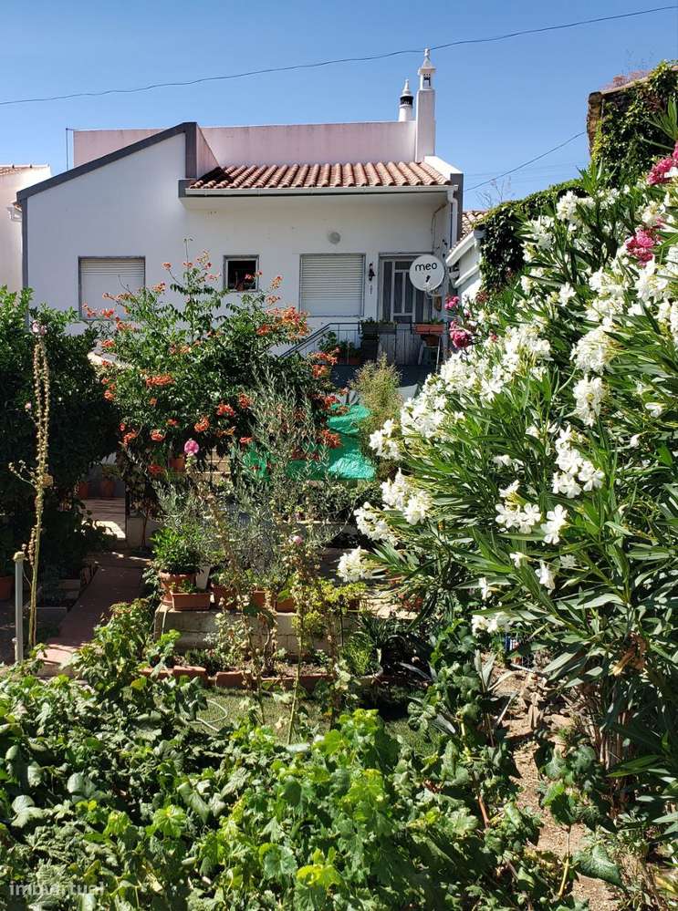 Moradia no Coração de Cachopo | 3 Quartos | Jardim | Lote de 247 m² - Grande imagem: 3/21