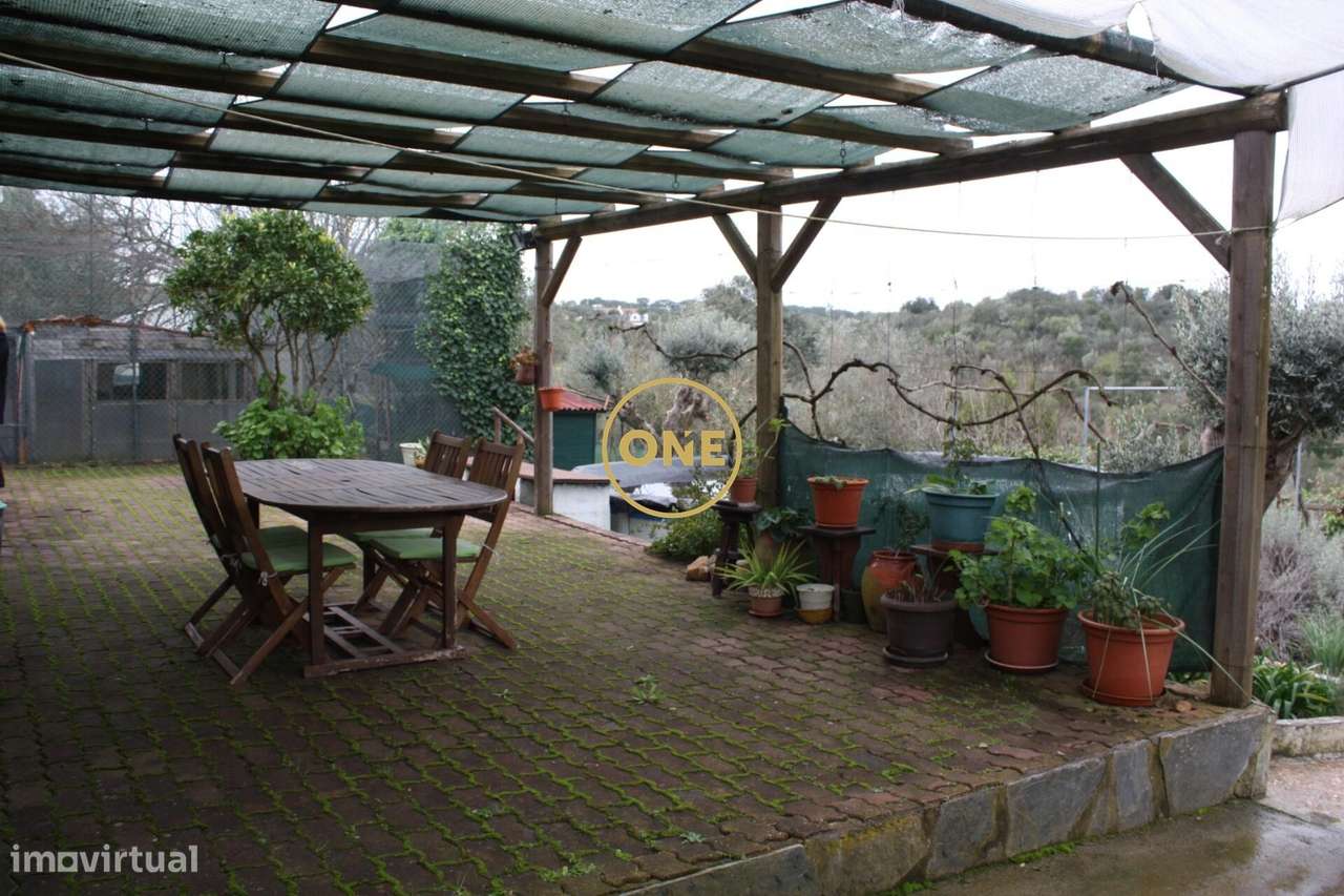 Moradia Térrea no Alentejo | Malarranha – Mora | Évora - Grande imagem: 5/24