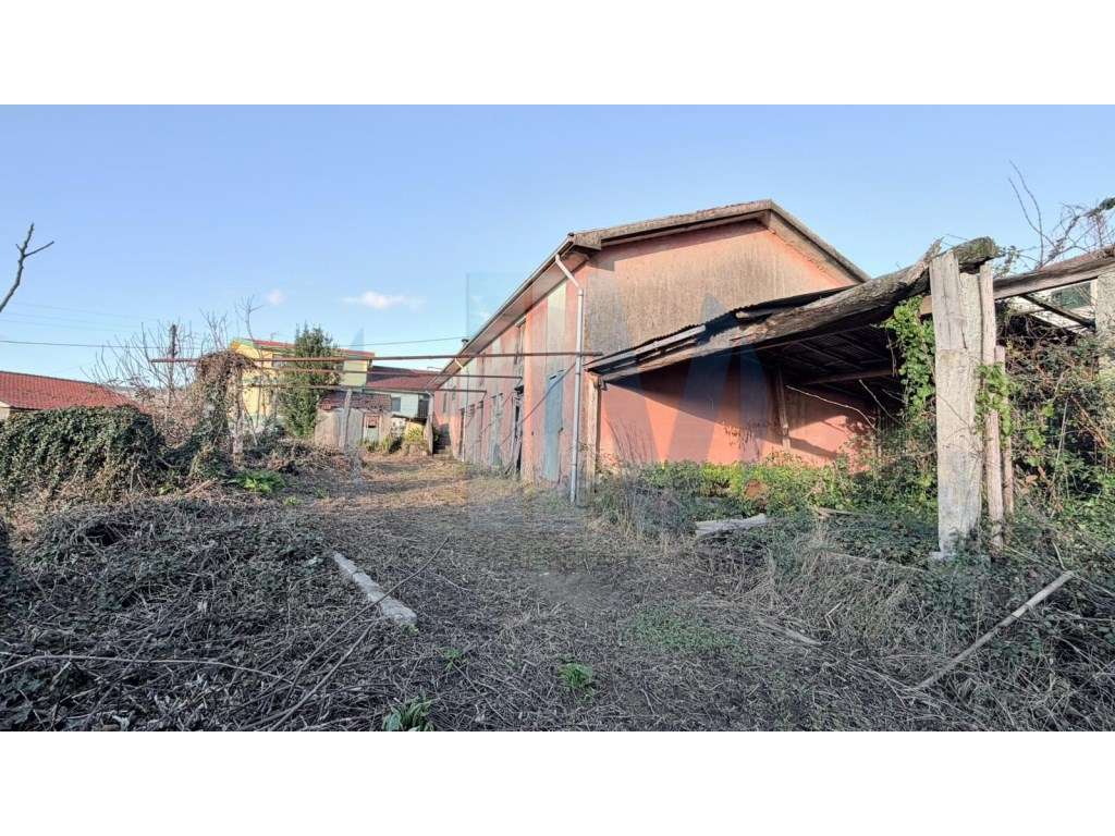 Moradia Térrea T3 para Renovação com Terreno urbano de 3.000 m² - F...-9