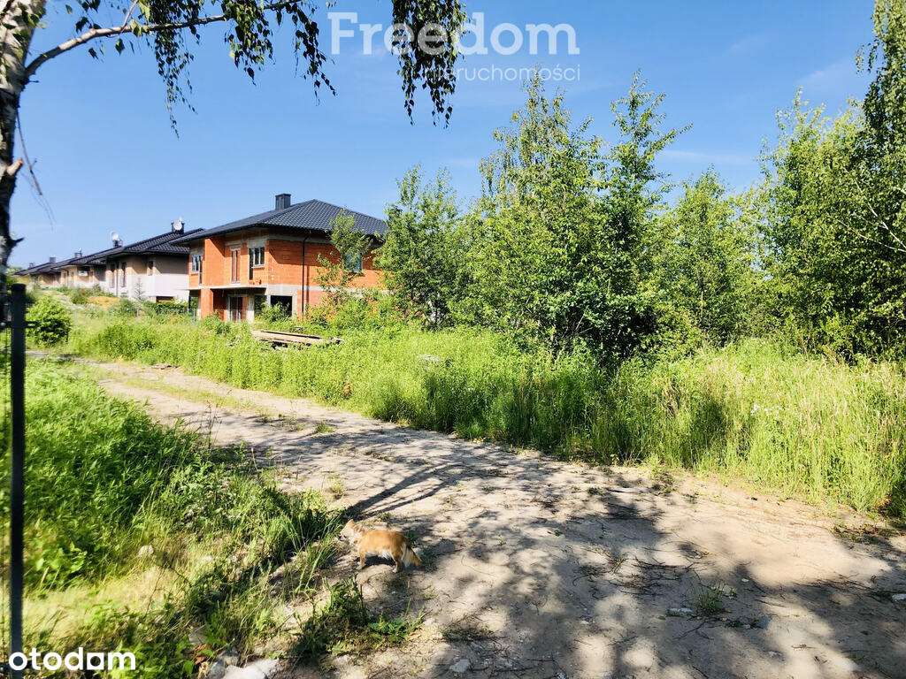 Działka budowlana Łomianki-Dziekanów 1,027ha, pnb - Pełny obrazek: 5/9