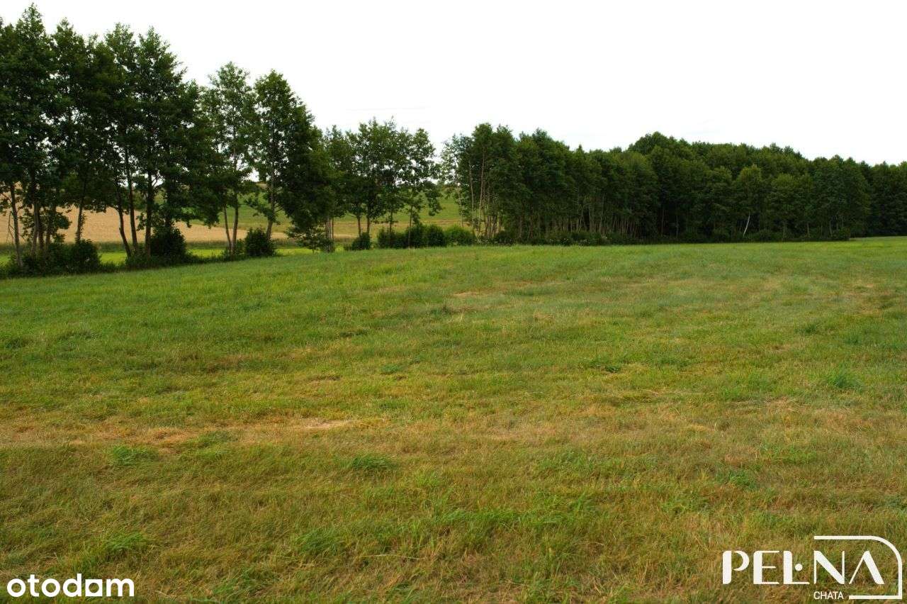 Działka 1300 mkw. nad jeziorem koło Kościerzyny-10