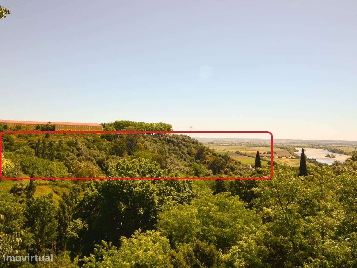 Moradia em Ruínas com Vista para o Rio Tejo - Grande imagem: 2/32