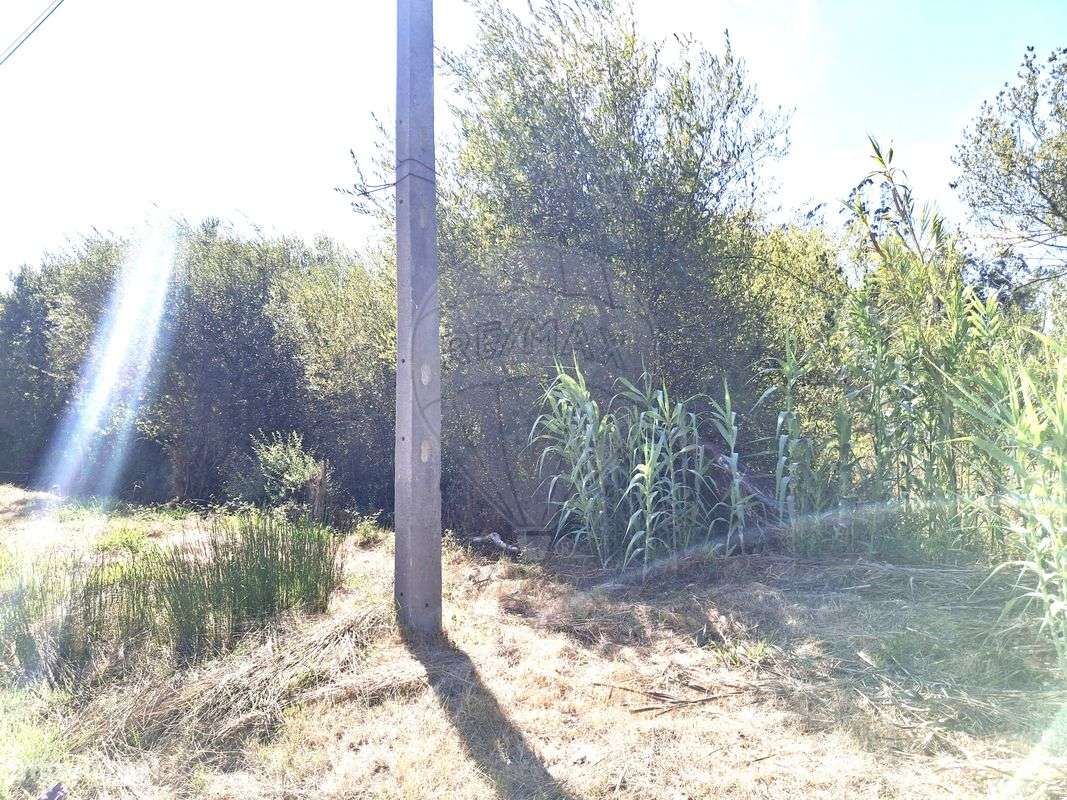 Terreno  para venda - Grande imagem: 3/6