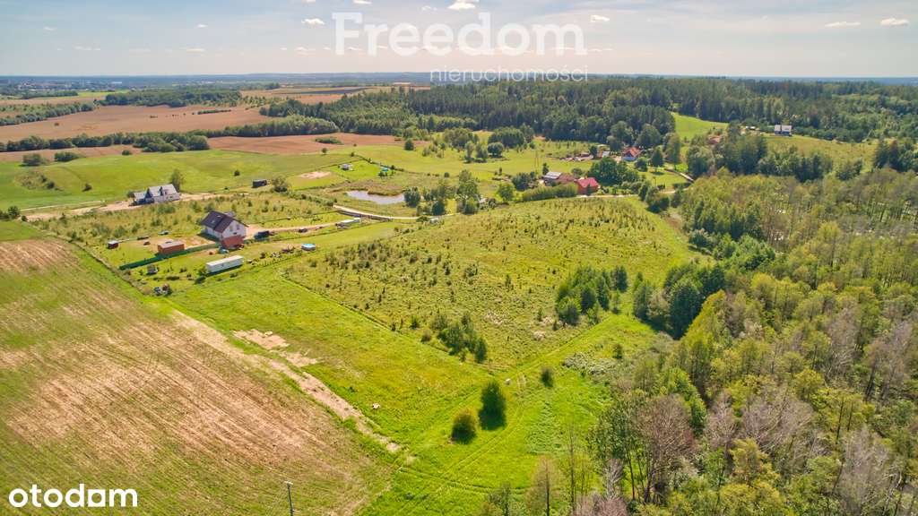 Działka 1500 m² przy lesie – Oracze k. Ełku - Pełny obrazek: 5/9