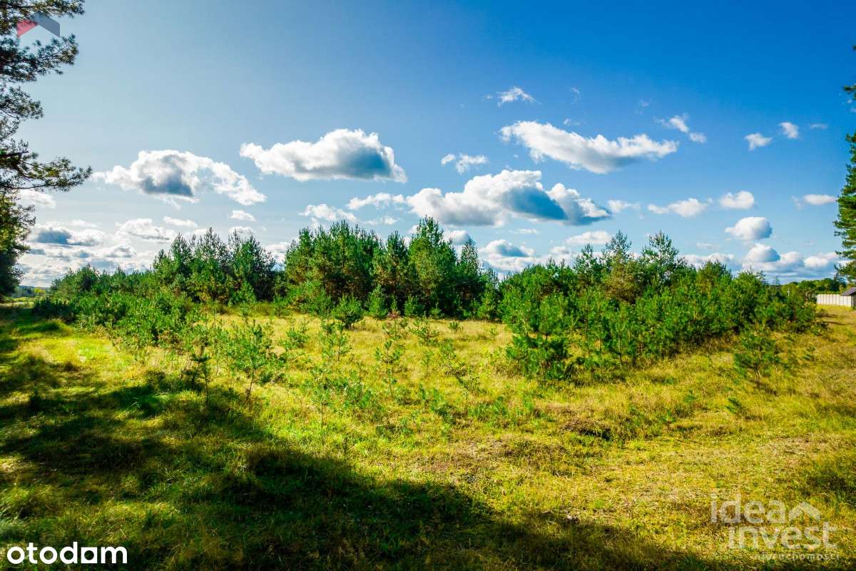 Wyjątkowa Działka Budowlana nad Gwdą! - Pełny obrazek: 5/9