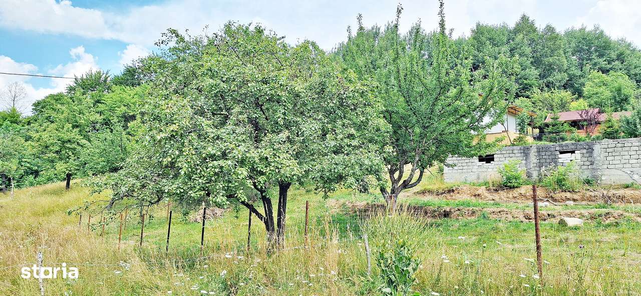 Bran- Predelut, 1000mp teren pentru casa de vacanta, pret 45 euro/mp - Imagine principală: 3/15