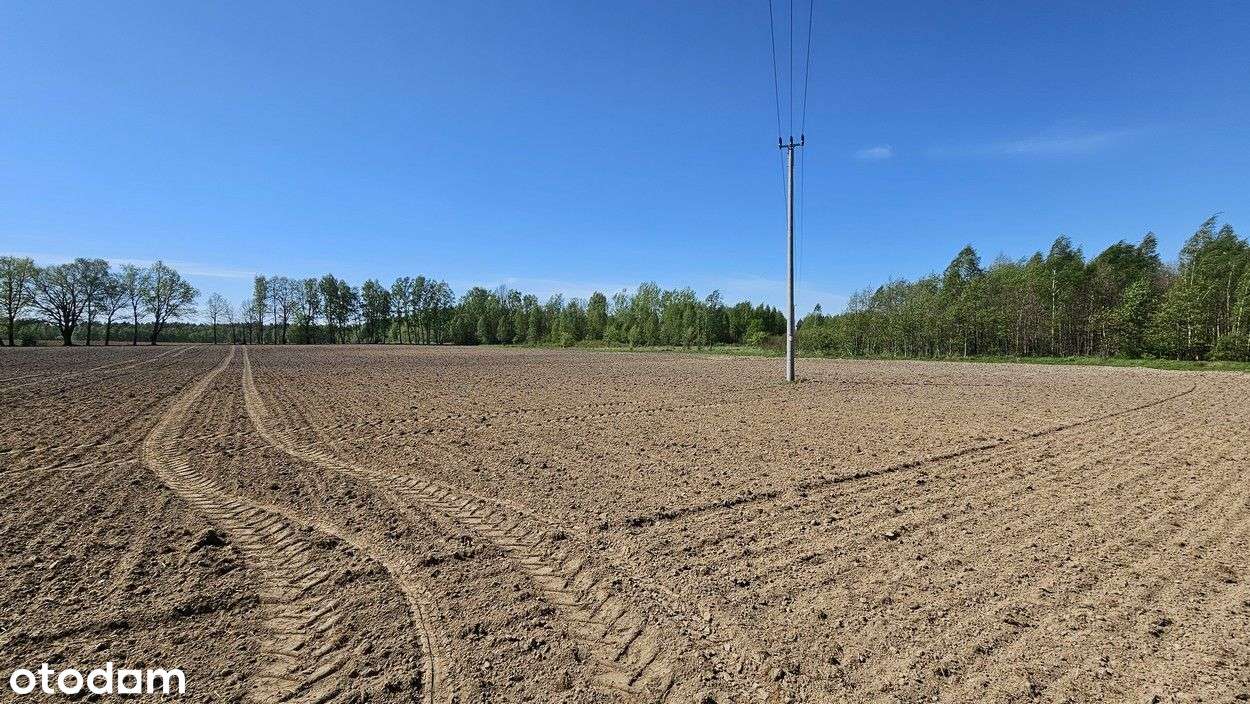 Działka rolna Wierzno Wielkie, gmina Frombork - Pełny obrazek: 5/17