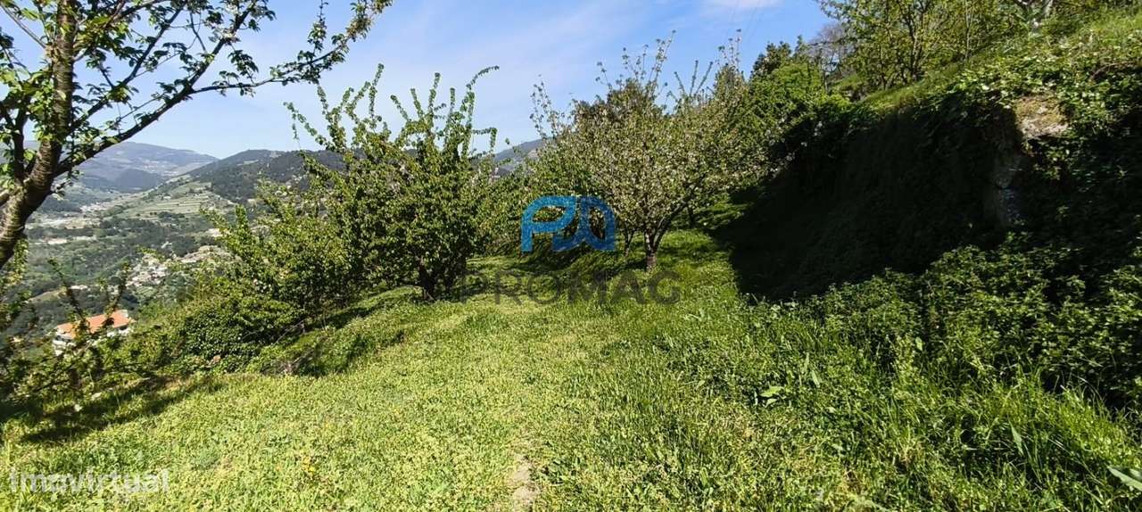 Quinta do Valado- Excelente Investimento em Resende-8