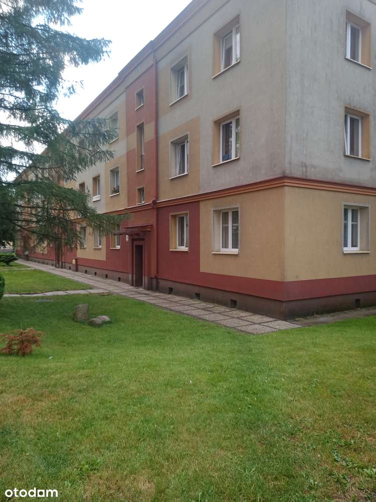 Na sprzedaż mieszkanie 48m2 , 2 pokoje , parter , ul. Monte Cassino