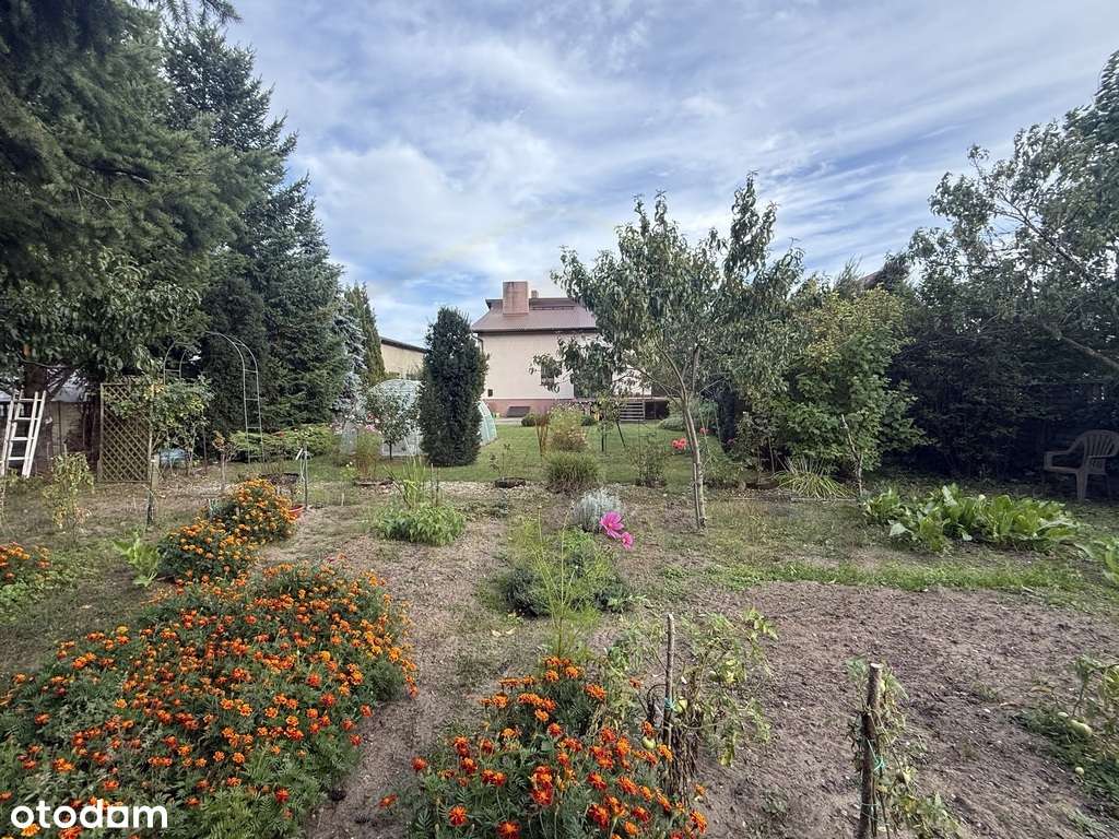 Dom wolnostojący na dużej działce, Krzycko Wielkie - Pełny obrazek: 4/20