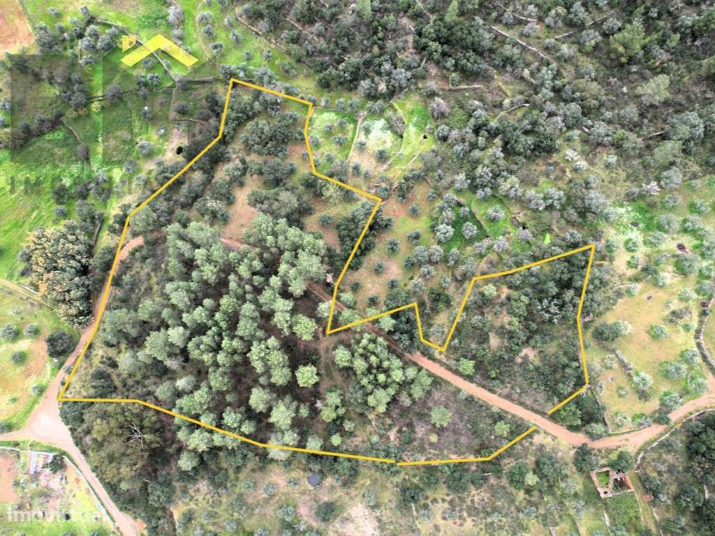 Terreno rústico com 10.800m2 para venda em Juncal do Campo! - Grande imagem: 3/18