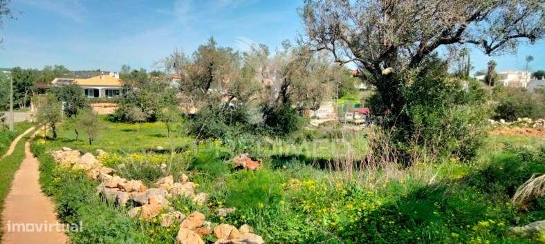 Terreno Rustico com  casa habitável - Grande imagem: 3/18