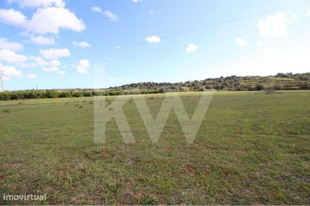 TERRENO RUSTICO, COM 16 120 M2, ELECTRICIDADE, BOM ACESSO, POÇO E NORA - Grande imagem: 3/27