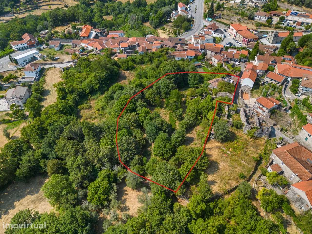 Quinta com Casa em Pedra para Restauro Século XIX - Grande imagem: 4/36