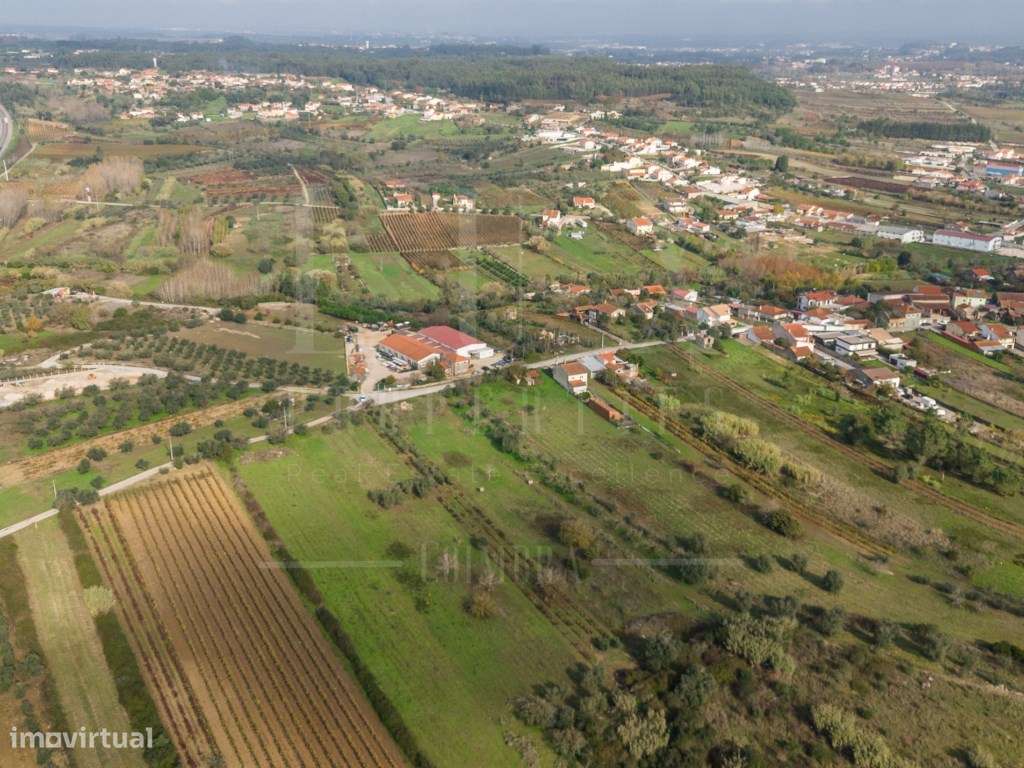 Terreno | Ventosa do Bairro, Mealhada-7