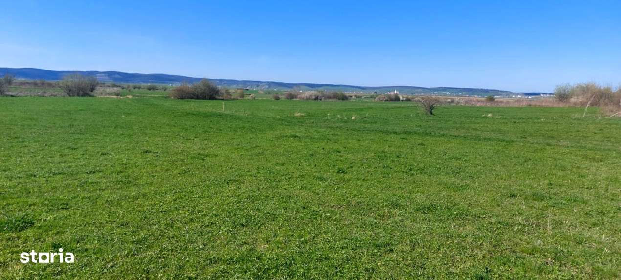 Teren  2250mp extravilan ,spre vanzare - Poplaca - Imagine principală: 3/4