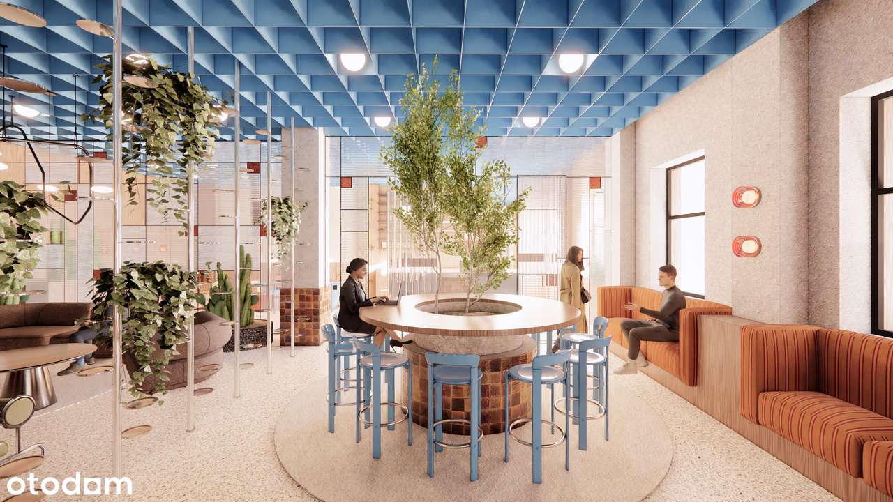 Rzeczypospolitej 5-6