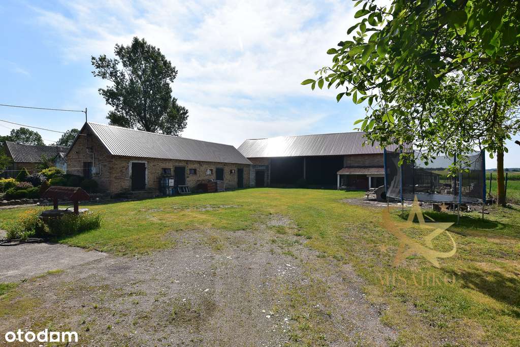 Urokliwe siedlisko w Waniewie – do zamieszkania - Pełny obrazek: 5/20