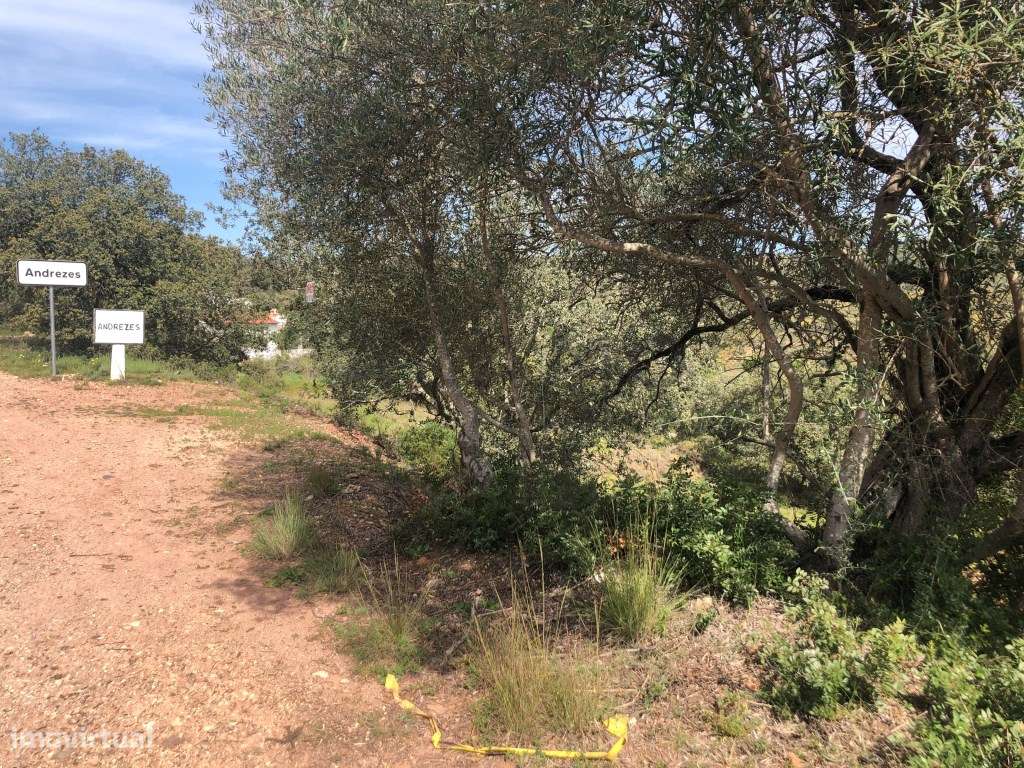 Terreno com projeto aprovado com Vista Serra e Quinta Umbria - Grande imagem: 3/8