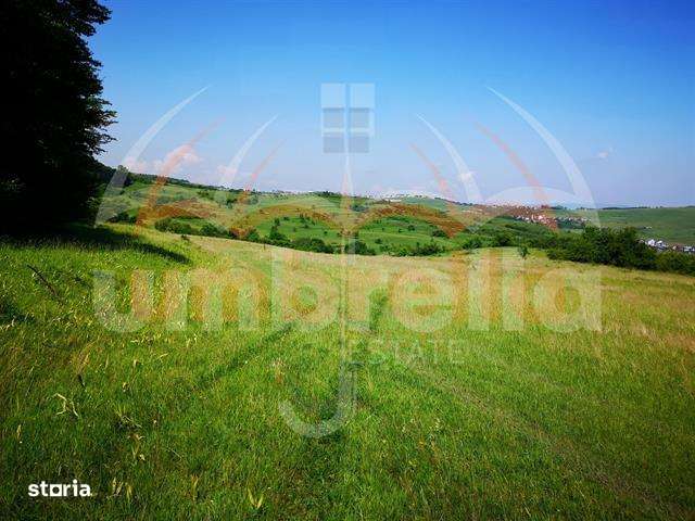 Teren de vanzare in Cluj-Napoca, Strada Soporului 2.900 mp - Imagine principală: 2/10