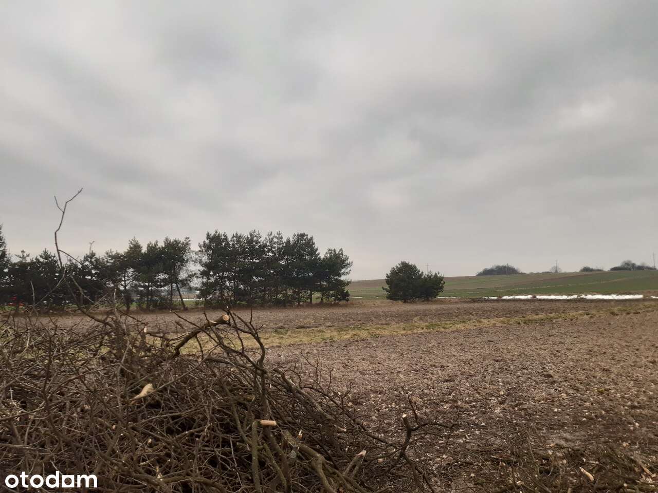 Dom do generalnego remontu z dużą działką budowlano-rolną-7