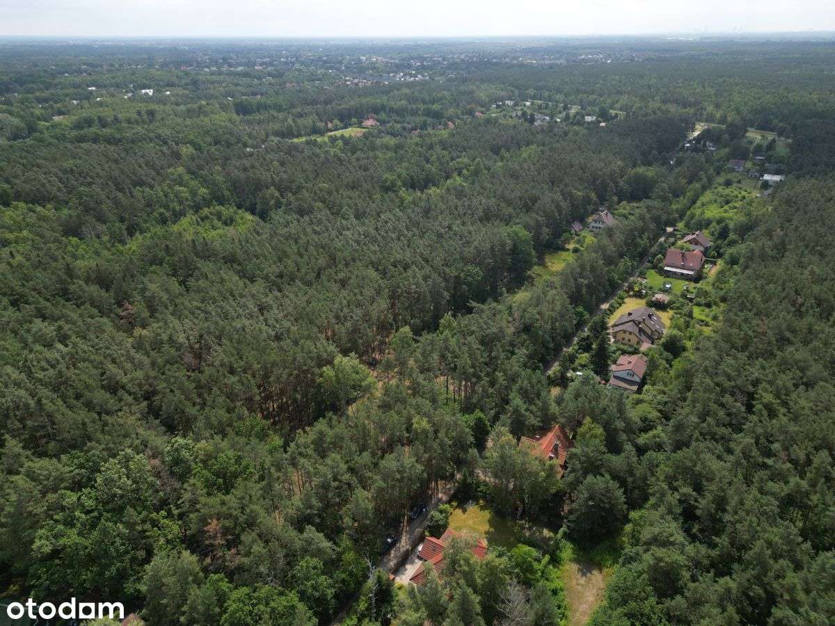 Dziełka z dużym potencjałem Dąbrowa Chotomowska-2