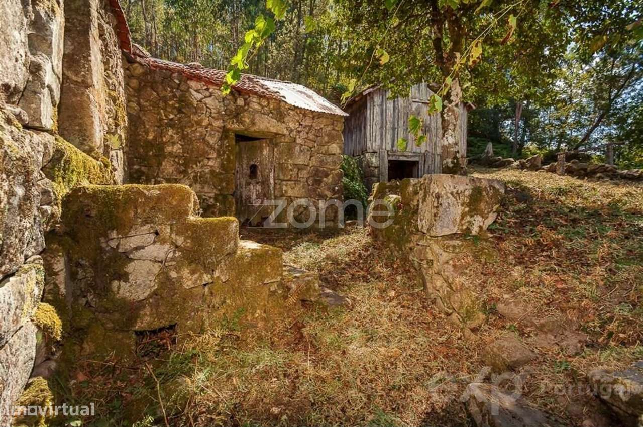 Moradia para recuperar com terreno de 6424 m2 - Cinfães - Grande imagem: 5/16