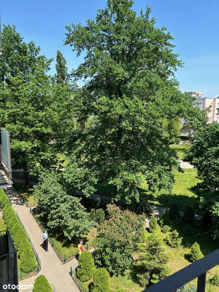 MIESZKANIE 3-pok. SADYBA 46m2 narożne, widne, rozkładowe-9