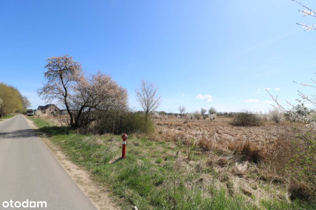 Działki w Słubicach – ul. Jastrzębia-15