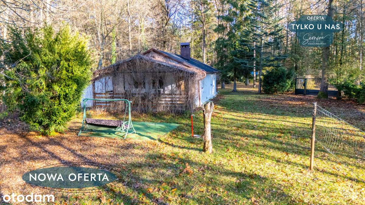 Dom w lesie-5