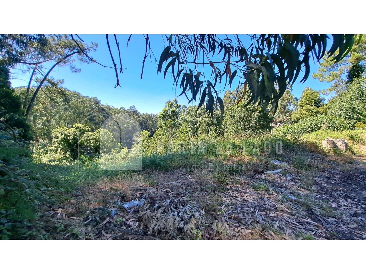 Terreno à venda em Olival – Vila Nova de Gaia | 1.440m² junto ao Centr - Grande imagem: 5/7