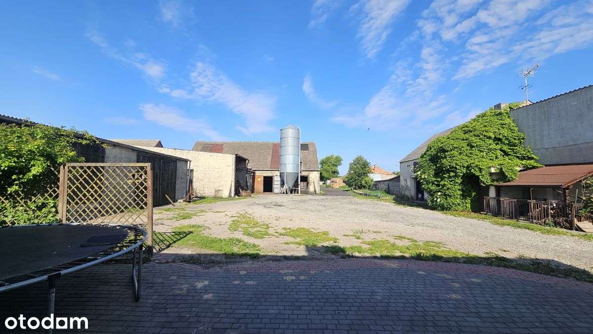 Dom (270  mkw.) budynki gospodarcze, działka (70a) - Pełny obrazek: 5/19