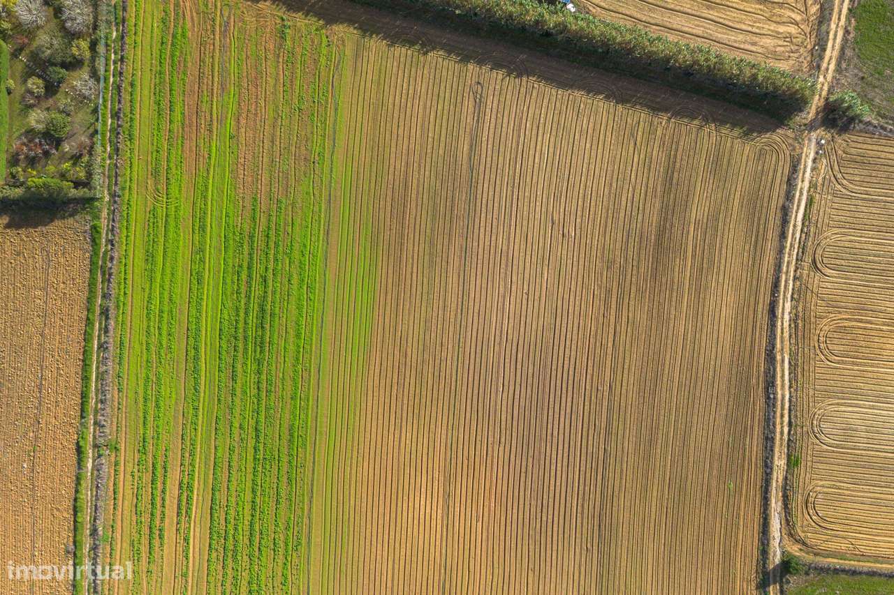 Terreno com bom potencial - Grande imagem: 5/10