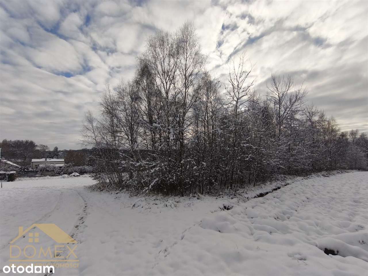 Duża działka w Radlinie – 3467m² - TOP-5