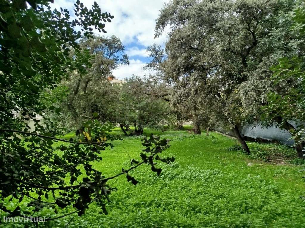 Lote de Terreno Rústico em malha urbana, Loulé, Algarve - Grande imagem: 2/8