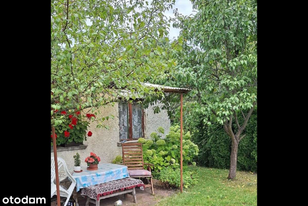 ROD RELAKS - Szwederowo - Pełny obrazek: 3/6