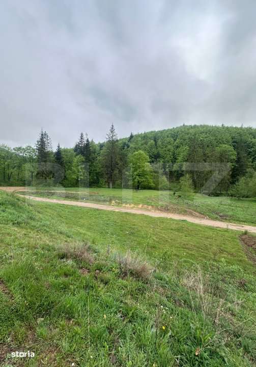 Teren intravilan 20.000 mp, zona Soarecului, Marginea - Imagine principală: 3/3